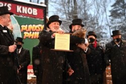 Tom Dunkel sostiene el pergamino con el pronóstico de Phil de seis semanas más de invierno durante un evento remoto y socialmente distanciado debido a la enfermedad del coronavirus (COVID-19) en el 135 ° Día de la Marmota, el 2 de febrero de 2021.