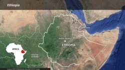 በጉጂና ጌዴዖ ዞኖች በወንጀል የተጠረጠሩ ተያዙ
