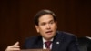 Senador Rubio pide incluir a Venezuela en lista de patrocinadores del terrorismo