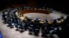 Debate genera puesto en Consejo de Seguridad 