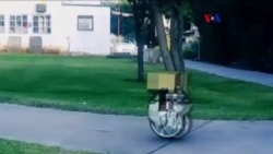 Robot de transporte terrestre