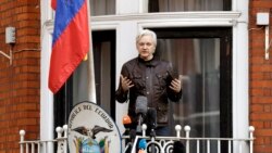 Джуліан Ассанж 7 років користувався притулком у посольстві Еквадору в Лондоні