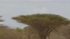 Experts: La Niña, Climate Change Impact East African Drought