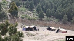 زڼغوزی یا چلغوزی د شمالي او جنوبي وزیرستانونو منفرد فصل دی. په دې تصویر کې د شمالي وزیرستان د شوال سېمې د زڼغوزې ځنگل لیدل کیږي