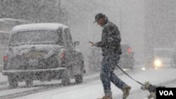 En muchas capitales de Europa las nevadas han sido persistentes y copiosas.