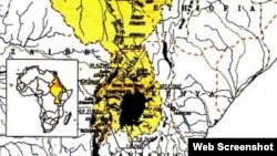 የናይል ተፋሰስ