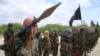 US-Somali operation kills 10 al-Shabab militants