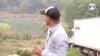 Productores en Honduras solicitan apoyo