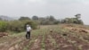 Nicaragua: gobierno optimista pese a proyecciones negativas de la CEPAL 