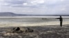 FILE - Kenya Wildlife Service warden Vincent Ongwae looks at the carcass of a buffalo that had died due to drought, on the shore of Lake Nakuru in Kenya, October 2009.