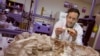 Scientist Maintains Dinosaurs Were Warm-Blooded