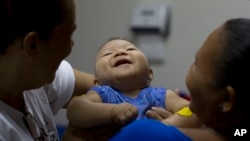 Nuevo estudio apoya la hipótesis que el contagio del virus del Zika durante los primeros meses de embarazo es lo más preocupante.