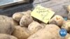 Erdogan's War on Rising Food Prices Leaves Casualties
