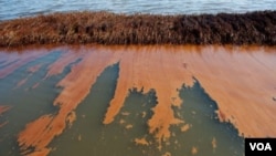 Unos cinco millones de barriles de crudo se derramaron en aguas del Golfo.