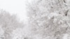 Winter Storm Halts US Holiday Travel