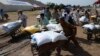 FILE - People fleeing from the military offensive against Pakistani militants in North Waziristan walk away with wheelbarrows of relief handouts from the World Food Program at a distribution point for internally displaced persons in Bannu, located in Paki
