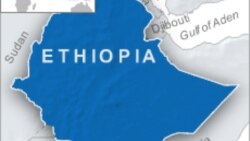 ዴሞክራሲ በተግባር