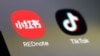 Los "refugiados de TikTok" de EEUU migran a otra aplicación china ante la inminente prohibición