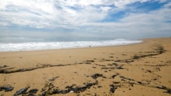 Manchas de petróleo se observan en la playa de Newport Beach, en California, el 4 de octubre de 2021, después de un derrame de crudo ocurrido durante el fin de semana en el área.