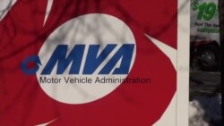 Inmigrantes indocumentados obtienen licencias de conducir