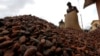Ivory Coast Eyes Biomass Power Generation From Cocoa Waste