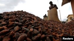 FILE - Men pour out cocoa beans to dry in Niable, at the border between Ivory Coast and Ghana.
