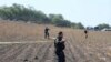 Voluntarios dicen que hallaron un crematorio clandestino a la orilla de Ciudad de México