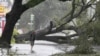 A man stands in front of an uprooted oak tree on Louisiana Avenue as Hurricane Isaac makes land fall in New Orleans, Louisiana August 29, 2012. 