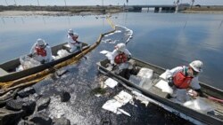 Contratistas de limpieza tratan de detener una mayor incursión de crudo en los humedales Talbert Marsh en Huntington Beach, California, el domingo 3 de octubre de 2021.