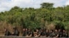 Brasil: arrestan a segundo sospechoso en desaparición de periodista británico y un experto indigenista