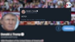 Trump veta el rechazo del Senado a su emergencia nacional