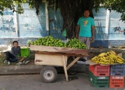 El 80% de la economía de los nicaragüenses está en manos de personas que trabajan por su cuenta.
