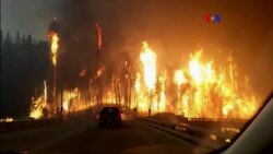 Sombrío informe climático 2016