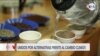 Cafeteros salvadoreños se niegan a rendirse ante impacto del cambio climático