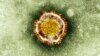¿Qué peligros presenta el coronavirus aparecido en China?