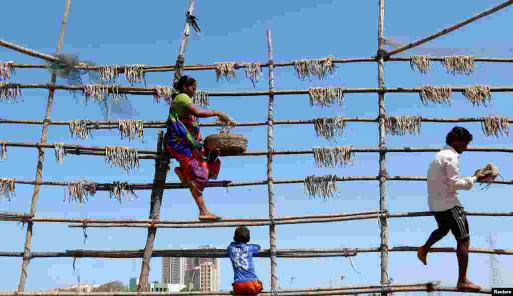 Warga menjemur ikan di tiang-tiang bambu di kota Mumbai, India.