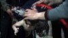 FILE - A child is treated in a hospital in Douma, eastern Ghouta, near Damascus, Syria, after an alleged chemical attack April 7, 2018. 