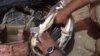Pakistan security forces recovered ammunition and other weapons during an operation on May 16, 2018 in Baluchistan.