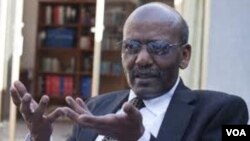 ዶ/ር ነጋሦ ጊዳዳ - የአንድነት ሊቀመንበር /ፎቶ - ከፋይል የተገኘ/