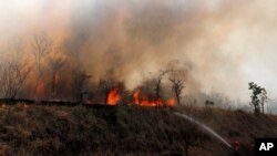 Voraces incendios forestales consumieron en 2019 millones de hectáreas de bosques en la región boliviana de la Chiquitanía.