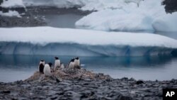 En la península antártica, donde el continente se está calentando más rápidamente porque la Tierra se adentra a un océano cada vez más cálido, se pierden casi 45.000 millones de toneladas métricas de hielo cada año, según la NASA.