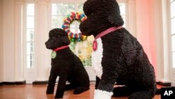 Figuras gigantes de las mascotas de la familia Obama reciben a los visitantes a la Casa Blanca.