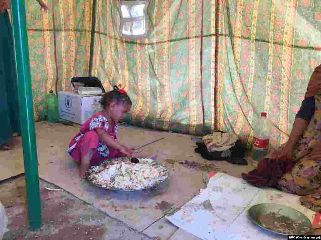 Seorang anak pengungsi bernama Yasmin sedang makan makanan yang dimasakkan tetangganya. Bersama orangtua dan saudara-saudaranya, Yasmin sampai di kamp al-Fallujah dini hari. &quot;Ia sangat lelah sampai hanya bisa menangis,&quot; ujar ibunya.
