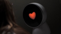 Robots de compañía y entretenimiento