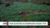 Vida silvestre amenazada por el cambio climático, según ambientalistas