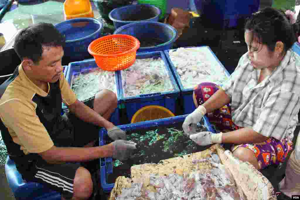 Burmese migrant workers sort and clean squid in Samutsakhon, Thailand, December 20, 2012. (VOA/D. Schearf)