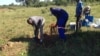 Bagebha amathambo abantu ababulawa yGukurahundi (Umfanekiso: Annahstacia Ndlovu)