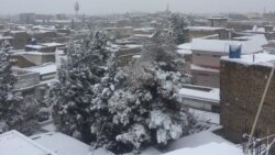 په بلوچستان کې تازه واوره