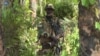 L'armée sénégalaise dit avoir pris des camps de la rébellion casamançaise