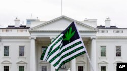 ARCHIVO - La legalización de la marihuana ha recorrido varias etapas en Estados Unidos, desde el reconocimiento de algunas ciudades y a estados con regulaciones para la producción y el consumo.